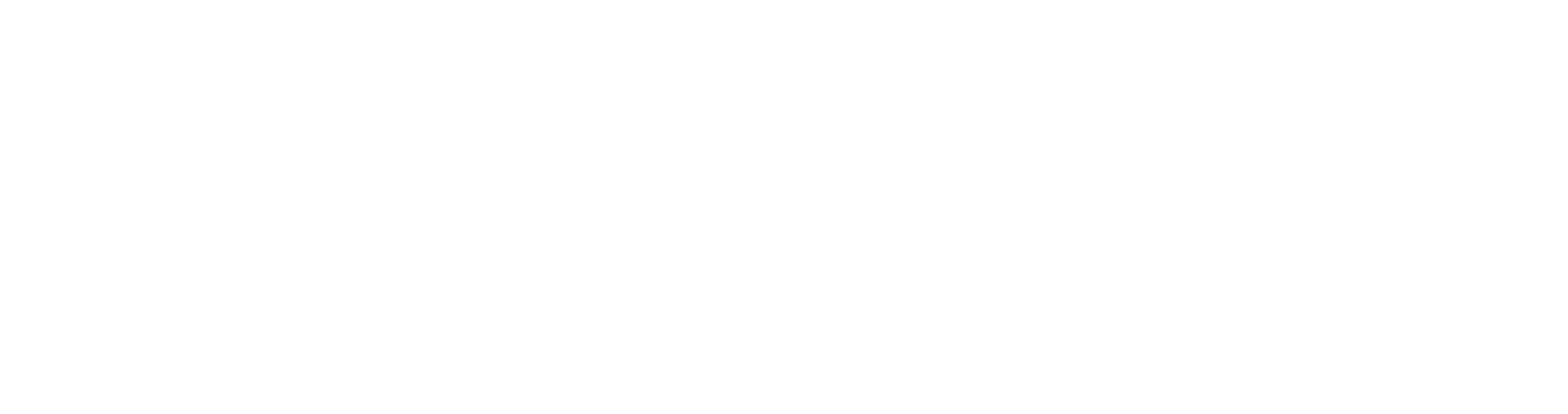 Ziggicig
